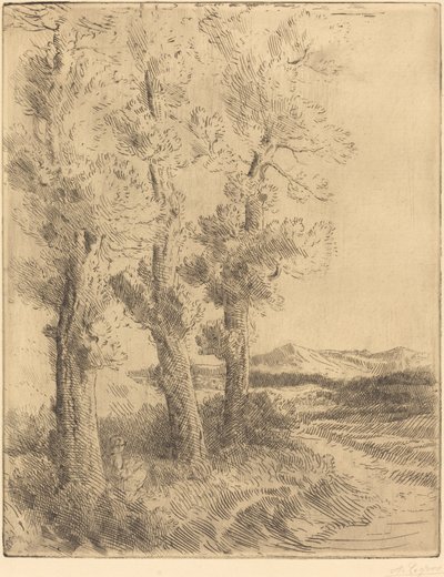 Mulher lendo: lição debaixo das árvores de Alphonse Legros