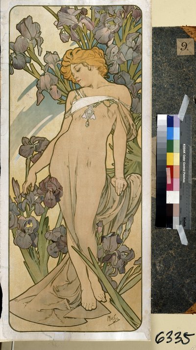 Íris (parte da série de flores). Trabalho de Alfons Maria Mucha (Alphonse Marie Mucha de Alphonse Marie Mucha