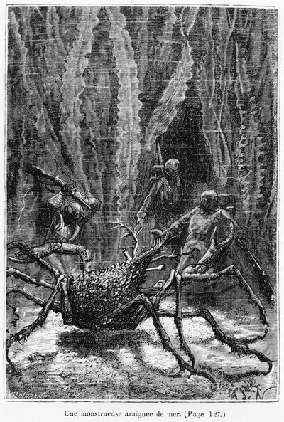 O caranguejo-aranha, ilustração de &39;20, 000 léguas submarinas &39;por Jules Verne (1828-1905) gravado por Henri Theophile Hildibrand (1824-97) Paris, Hetzel, publicado em 1877 de Alphonse Marie de Neuville