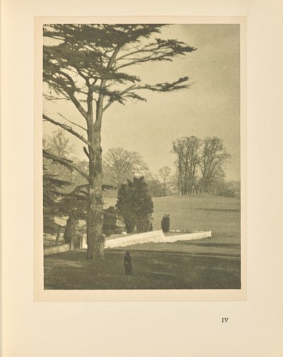 A orla do jardim de Alvin Langdon Coburn