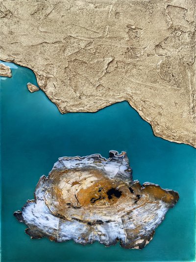 Costa da Ilha Petrificada de Alyson Storms