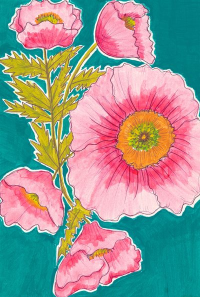 Papoilas rosa vibrantes de Alyssa Hamilton