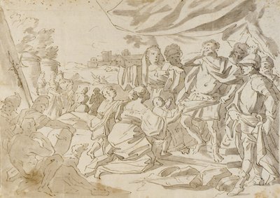 Desenho de Amalfi, Carlo