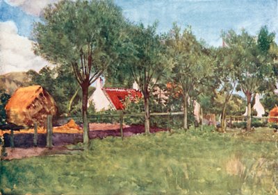 A Exploração agrícola (litografia a cores) de Amedee (after) Forestier