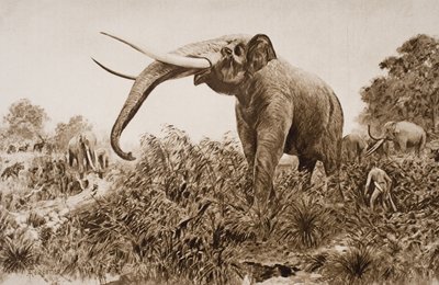 O elefante de Chatham, ilustração de "O esboço da história" por HG Wells, Volume I, publicado em 1920 (lito) de Amedee Forestier