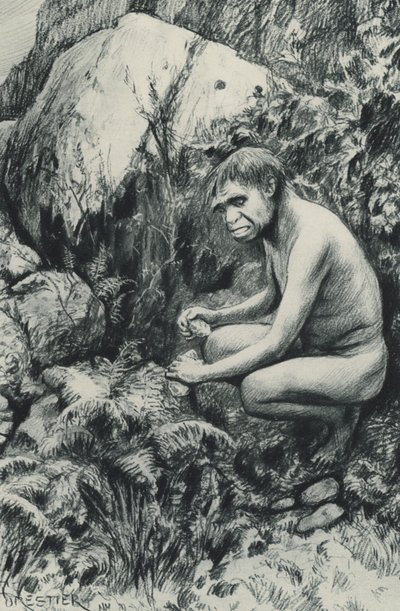 O antigo inquilino do Antigo Planalto, talvez dez mil séculos atrás de Amedee Forestier