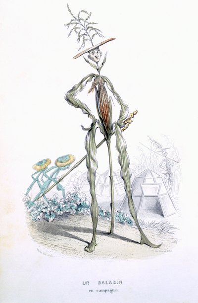Um carrinho de criança country, de L&39;Empire des Legumes, Memoires de Curcurbitus, de Eugene Nus e Meray Antoine, 1851 (gravura colorida) de Amedee Varin
