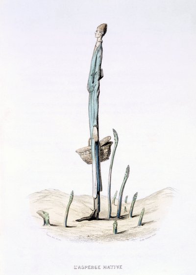 Os aspargos amassados, de &39;L&39;Empire des Legumes, Memoires de Curcurbitus&39;, de Eugene Nus e Meray Antoine, 1851 (gravura colorida) de Amedee Varin