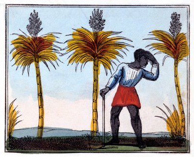 Corte de cana-de-açúcar, 1826 de Amelia Alderson Opie