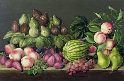 Figos, melão e groselhas, 1998 de Amelia Kleiser