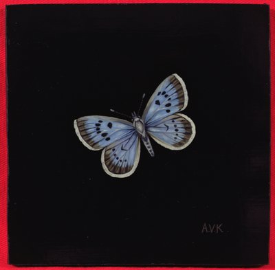 Borboleta azul grande, 2000 de Amelia Kleiser