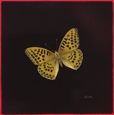 Borboleta fritilária lavada de prata, 2000 de Amelia Kleiser