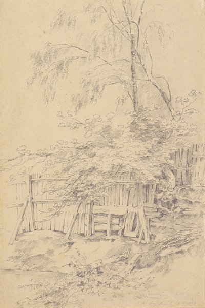 Bromley Hill de Amelia Long