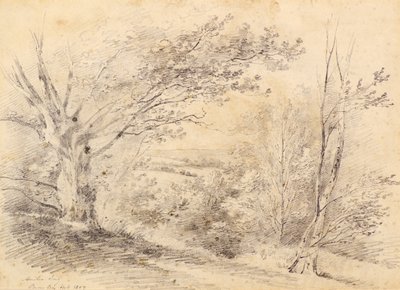 Bromley Hill de Amelia Long