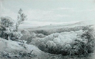 Whitby Abbey, de Mulgrave de Amelia Long