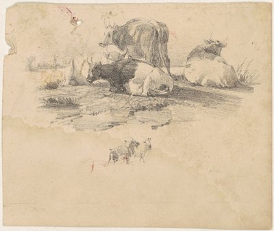 Rebanho de gado de American 19th Century