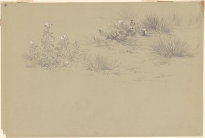 Arbusto florido e plantas do deserto de American 19th Century after John Frederick Kensett