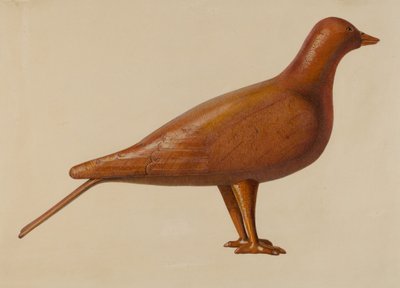 Pomba Isca de American 20th Century
