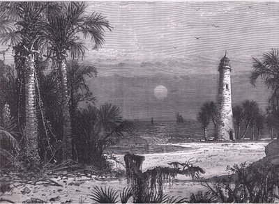 Vista da costa da Florida, ilustração de Cassells History of the United States publicada por Cassell, Petter & Galpin, c.1900 (litho) de American English school