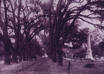 Cemitério Bonaventure, Savannah, Geórgia (foto a p/b) de American Photographer (after)