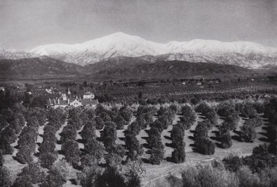 Califórnia: Redlands, de Smiley Heights, sunshine, orange groves, e snowy peaks (foto a p/b) de American Photographer (after)