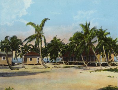 Casas de campo no campo de pesca Long Key Fishing (foto) de American Photographer (after)