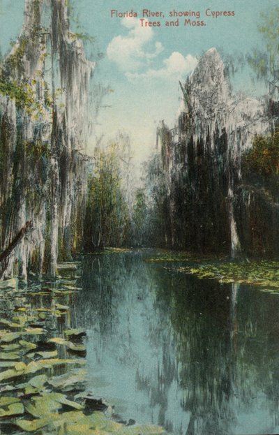 Rio Florida, mostrando Cypress Trees and Moss (foto) de American Photographer (after)