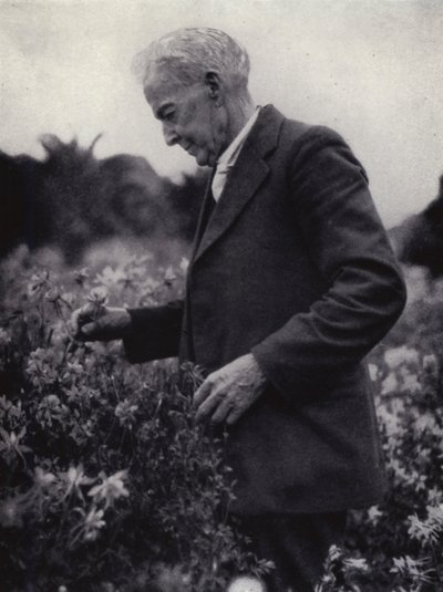 Luther Burbank entre as suas flores (foto a p/b) de American Photographer (after)