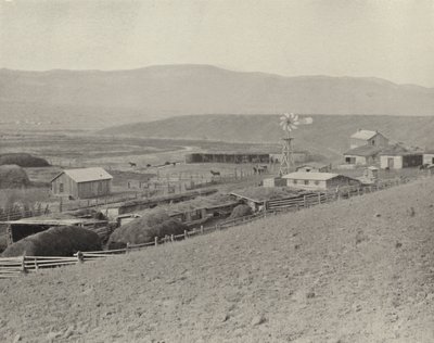 Rancho Montana Horse (foto a p/b) de American Photographer (after)