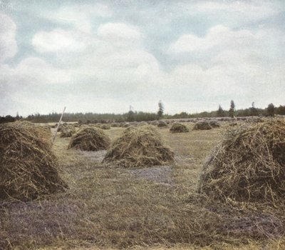 Oregon: Alfalfa (foto) de American Photographer (after)