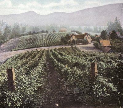 Oregon: Agricultura Diversificada no Vale de Willamette (foto) de American Photographer (after)
