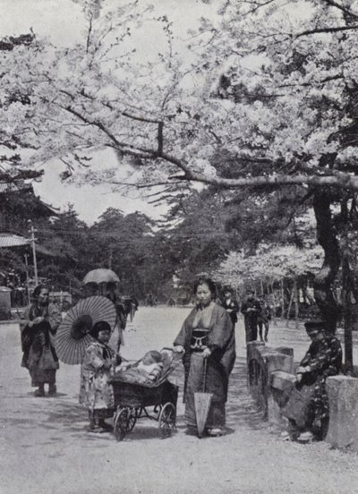 Debaixo da flor de cerejeira em Shiba Park, Tokio (foto a p/b) de American Photographer (after)