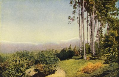 Uma paisagem do sul da Califórnia perto de Redlands (fotografia a cores) de American Photographer