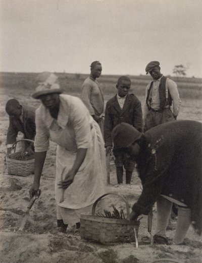 Trabalho de campo de American Photographer