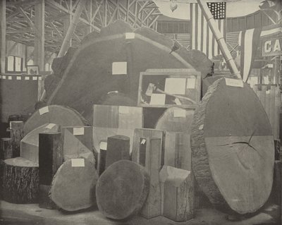 Machado Gladstone de American Photographer