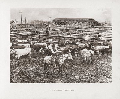 Kansas City, Missouri, EUA de American Photographer