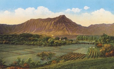 Campos de arroz, Oahu (fotografia a cores) de American Photographer