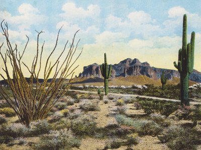 Montanha e deserto de Superstition, "Apache Trail" (fotografia a cores) de American Photographer