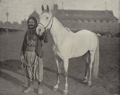 O Steed do Prêmio dos beduínos de American Photographer