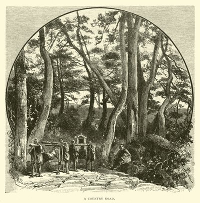 Uma estrada secundária de American School