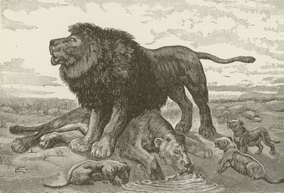 A Dirge no Deserto Africano, de uma pintura de JN Nettleship de American School