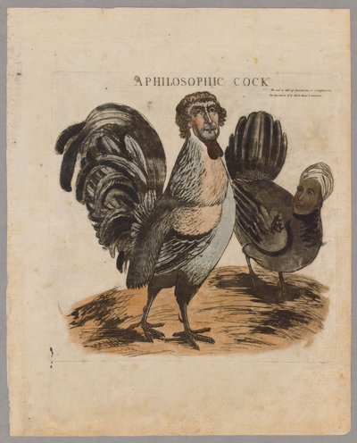 Um galo filosófico, 1804 de American School