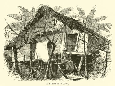 Uma casa siamesa de American School