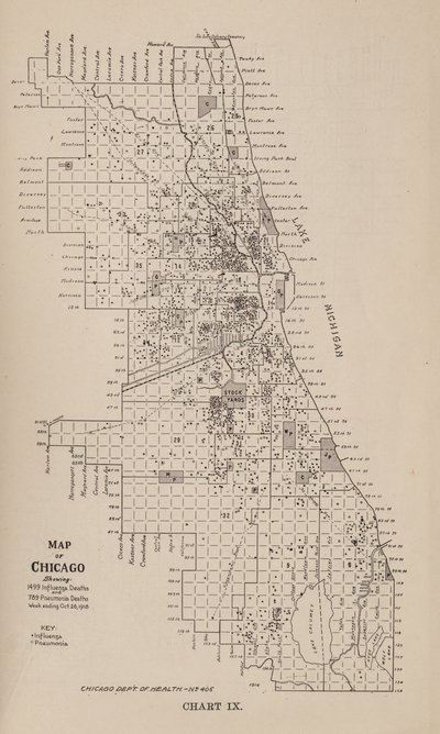 Um relatório sobre uma epidemia de gripe na cidade de Chicago no outono de 1918 de American School