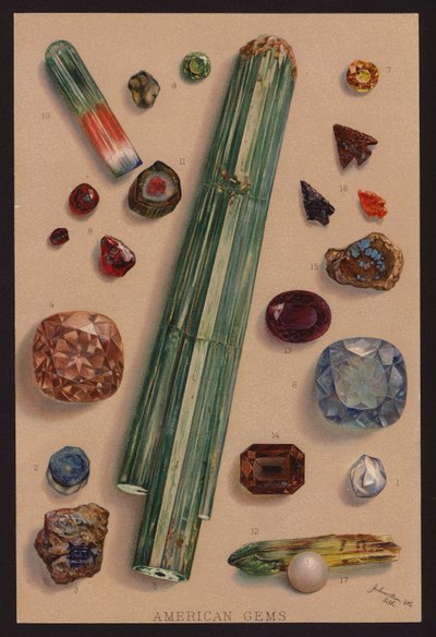 Gemas americanas (litografia a cores) de American School