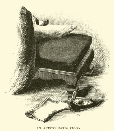 Um pé aristocrático de American School
