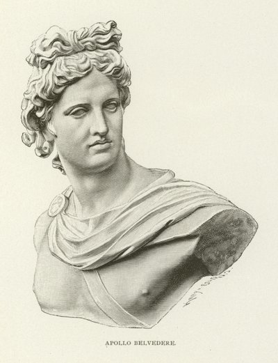 Belvedere Apollo de American School