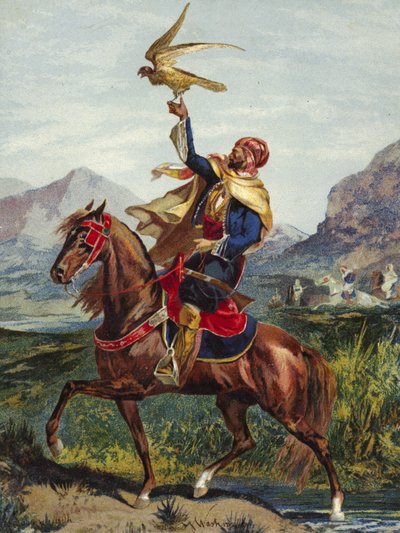 Cavaleiro árabe, com falcão de American School