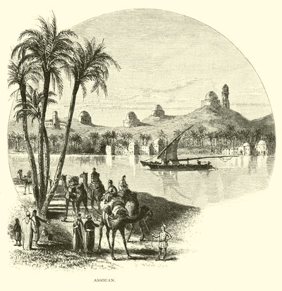 Aswan de American School