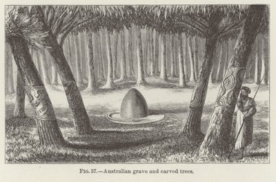 Árvores graves e esculpidas australianas de American School
